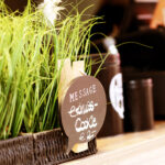 Blog6_04