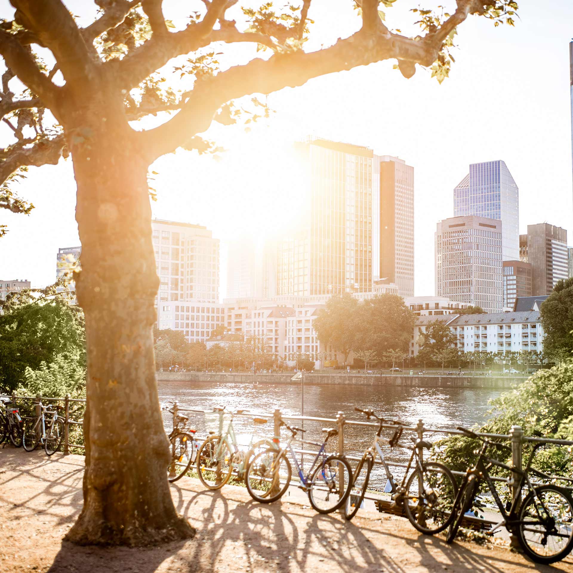 Foodtruck Events in Frankfurt